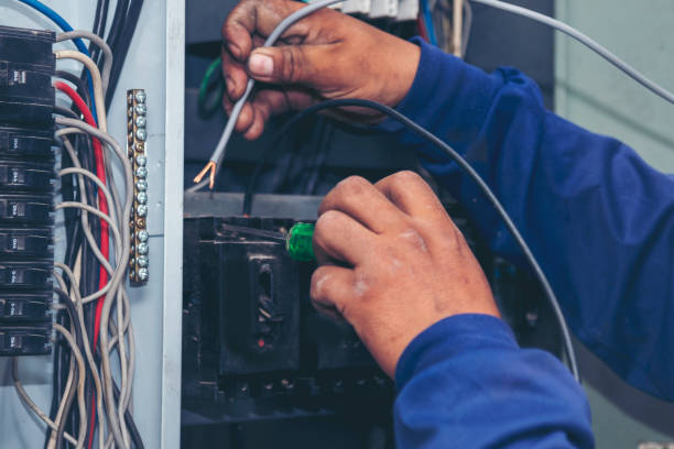 Best Licensed Electrician  in Dunsmuir, CA