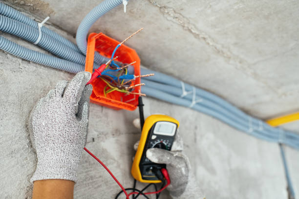 Best Electrical System Inspection  in Dunsmuir, CA